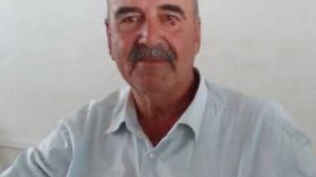 Arı sokması sonrası şoka giren çiftçi, hayatını kaybetti!