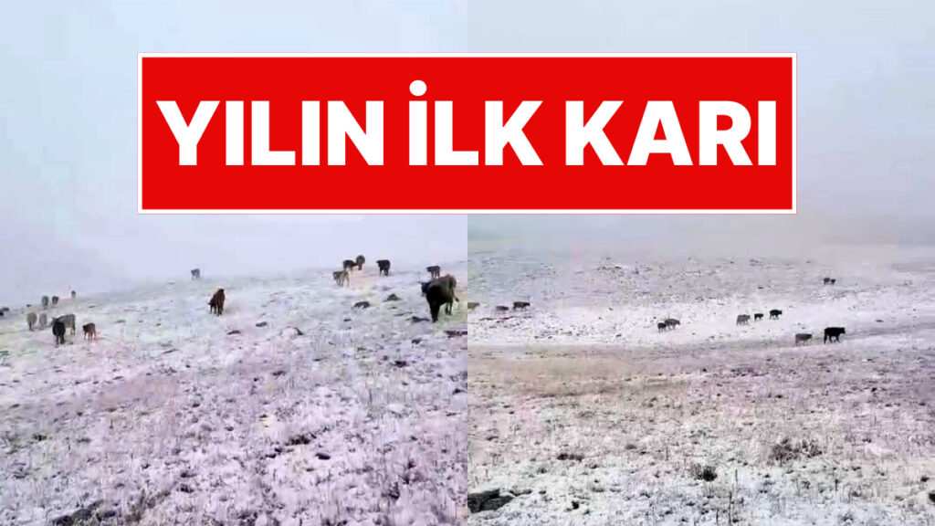 Türkiye’de Yılın İlk Karı Yağdı! O İlçede Yaşayanlar Beyaz Sürprizle Şaşkına Döndü
